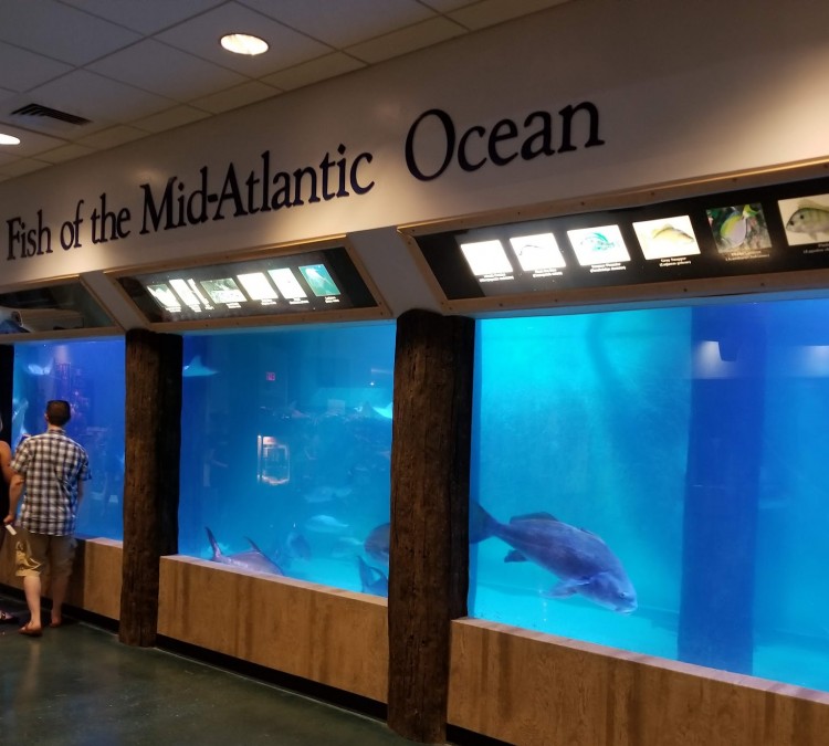 Atlantic City Aquarium (Atlantic&nbspCity,&nbspNJ)